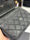 CHANEL WOC SUEDE BLACK CAVIAR SHW HOLO17834748