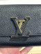 Louis Vuitton CAPUCINES LONG WALLET MICROCHIP