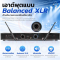 ไมโครโฟนไร้สาย Wharfedale Pro รุ่น AEROLINE DUET H