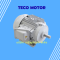 Teco Motor