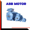 ABB Motor