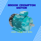 Brook crompton motor