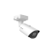 MS-C2966-X12R(T)GPE (2MP)