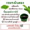 กระทงใบตอง (เสมือนจริง) แพ็ค 100 ใบ