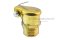 กาหยอดน้ำมัน ฝาสปริง ทองเหลือง แบบตรง  Spring Grease Oil Cup ความโตถ้วย 10.7 mm ยาว 16.4  mm ขนาดเกลียว M10x1.0