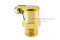 กาหยอดน้ำมัน ฝาสปริง ทองเหลือง แบบตรง  Spring Grease Oil Cup ความโตถ้วย 11.6 mm ยาว 21  mm ขนาดเกลียว M10x1.0
