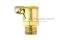 กาหยอดน้ำมัน ฝาสปริง ทองเหลือง แบบตรง  Spring Grease Oil Cup ความโตถ้วย 11.6 mm ยาว 21  mm ขนาดเกลียว M10x1.0
