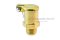 กาหยอดน้ำมัน ฝาสปริง ทองเหลือง แบบตรง  Spring Grease Oil Cup ความโตถ้วย 13 mm ยาว 26  mm ขนาดเกลียว M10x1.0