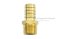 ข้อต่อหางไหลทองเหลือง เกลียวนอกเสียบสาย (เกลียวนอก x หางไหล) ขนาด 1/2" x 5/8" (เสียบสายรูใน 15.5-16.8 mm)