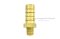 ข้อต่อหางไหลทองเหลือง เกลียวนอกเสียบสาย (เกลียวนอก x หางไหล) ขนาด 1/8" x 1/2" (เสียบสายรูใน 12-13 mm)