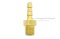 ข้อต่อหางไหลทองเหลือง เกลียวนอกเสียบสาย (เกลียวนอก x หางไหล) ขนาด 1/8" x 3/16" (เสียบสายรูใน 5-6 mm)
