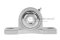 ตลับลูกปืนตุ๊กตาสแตนเลส Pillow Block Bearing รุ่น SUC202/P202/SP202/SS UCP 202 สำหรับเพลามิล ขนาด 15 mm