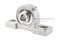 ตลับลูกปืนตุ๊กตาสแตนเลส HW Pillow Block Bearing รุ่น SUC203/P204/SP204/SS UCP 203 สำหรับเพลามิล ขนาด 17 mm