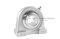 ตลับลูกปืนตุ๊กตาสแตนเลส ทรงภูเขาขาสั้น Pillow Block Bearing รุ่น SUCPA205 สำหรับเพลามิล ขนาด 25 mm