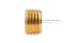 ปลั๊กอุดตัวหนอนทองเหลือง 1/4" NPT 18