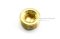 ปลั๊กอุดตัวหนอนทองเหลือง 3/8" BSPT 19