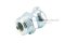 หัวอัดจารบีเหล็กชุบเยอรมันแบบงอ 45° ขนาด 1/4" เกลียว 19 (BSPT)