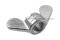 อายนัทสแตนเลสทรงปีกผีเสื้อ Wing Nut Stainless Steel ขนาด M20