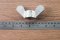 อายนัทสแตนเลสทรงปีกผีเสื้อ Wing Nut Stainless Steel ขนาด M22