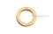 แหวนสปริงทองเหลือง M12 ความหนา 6 mm