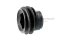 น็อตตัวหนอนดำแข็ง M8x6 ปลายทรงกระบอกขนาด 5x4.2 mm