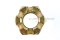 หัวน็อตผ่า-หัวน็อตทรงปราสาท-ทรงมงกุฎ M48x5.0 เกรด 10 (ประแจขันเบอร์ 74 สูง 48.5 mm)