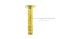 น็อตทองเหลืองหัวเตเปอร์ผ่า 1/4" x 1.1/4"