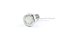 น็อตหัวเหลี่ยมสแตนเลส Stainless Steel Hex Bolt 1/2"x1" เกลียว 12