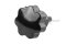 น็อตมือหมุนดอกไม้ แกนสแตนเลส (Star Grip Knob Bolt) ขนาด M6x15 ความโตหัว 24 mm