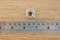 หัวน็อตทรงสี่เหลี่ยมสแตนเลส ( Stainless Square Nut ) ขนาด M10 วงนอก 16.7 mm สูง 7.8 mm