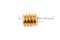 น็อตตัวหนอนทองเหลือง 1/4"x1/4" เกลียว 20 (BSW/UNC)