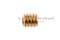 น็อตตัวหนอนทองเหลือง 1/4"x3/8" เกลียว 20 (BSW/UNC)