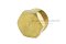 ปลั๊กอุดเกลียวนอกทองเหลือง หัวหกเหลี่ยม  ขนาด 1/4" เกลียว 19 (BSPT)
