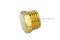 ปลั๊กอุดเกลียวนอกทองเหลือง หัวหกเหลี่ยม  ขนาด 1/4" เกลียว 19 (BSPT)