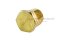 ปลั๊กอุดเกลียวนอกทองเหลือง หัวหกเหลี่ยม  ขนาด 1/4" เกลียว 19 (BSPT) รุ่นหนา ยาว 16.5 mm