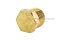 ปลั๊กอุดเกลียวนอกทองเหลือง หัวหกเหลี่ยม  ขนาด 1/8" เกลียว 28 (BSPT)