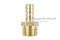 ข้อต่อหางไหลทองเหลือง เกลียวนอกเสียบสาย (เกลียวนอก x หางไหล) ขนาด 1/2" x 11 mm