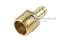 ข้อต่อหางไหลทองเหลือง เกลียวนอกเสียบสาย (เกลียวนอก x หางไหล) ขนาด 1/2" x 11 mm