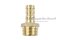 ข้อต่อหางไหลทองเหลือง เกลียวนอกเสียบสาย (เกลียวนอก x หางไหล) ขนาด 1/2" x 12 mm