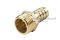 ข้อต่อหางไหลทองเหลือง เกลียวนอกเสียบสาย (เกลียวนอก x หางไหล) ขนาด 1/2" x 14 mm
