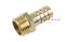 ข้อต่อหางไหลทองเหลือง เกลียวนอกเสียบสาย (เกลียวนอก x หางไหล) ขนาด 1/2" x 14 mm