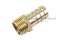 ข้อต่อหางไหลทองเหลือง เกลียวนอกเสียบสาย (เกลียวนอก x หางไหล) ขนาด 1/2" x 16 mm