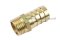 ข้อต่อหางไหลทองเหลือง เกลียวนอกเสียบสาย (เกลียวนอก x หางไหล) ขนาด 1/2" x 19 mm