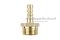 ข้อต่อหางไหลทองเหลือง เกลียวนอกเสียบสาย (เกลียวนอก x หางไหล) ขนาด 1/2" x 8 mm