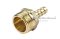 ข้อต่อหางไหลทองเหลือง เกลียวนอกเสียบสาย (เกลียวนอก x หางไหล) ขนาด 1/2" x 8 mm