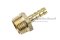 ข้อต่อหางไหลทองเหลือง เกลียวนอกเสียบสาย (เกลียวนอก x หางไหล) ขนาด 1/2" x 8 mm