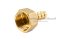 ข้อต่อหางไหลทองเหลือง เกลียวในเสียบสาย (เกลียวใน x หางไหล) ขนาด 1/2" x 10 mm