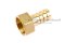 ข้อต่อหางไหลทองเหลือง เกลียวในเสียบสาย (เกลียวใน x หางไหล) ขนาด 1/2" x 14 mm