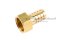 ข้อต่อหางไหลทองเหลือง เกลียวในเสียบสาย (เกลียวใน x หางไหล) ขนาด 1/2" x 16 mm