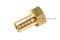 ข้อต่อหางไหลทองเหลือง เกลียวในเสียบสาย (เกลียวใน x หางไหล) ขนาด 1/2" x 16 mm